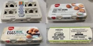 Salmonella Egg Recall