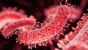 Sexually Transmitted Diarrhea Disease Emergency 2026: 7 Critical Facts On Rising Drug Resistance